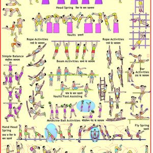 Gymnastics-Chart